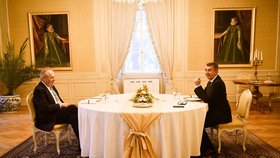Prezident Miloš Zeman nakonec kvůli protikoronavirovým opatřením pohostil u novoročního oběda ve Žluté jídelně na zámku v Lánech jen samotného premiéra. Původně měly u slavnostního stolu usednout i rodiny obou politiků. (3. 1. 2021)
