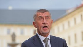Premiér Andrej Babiš (ANO) po schůzce na Hradě (11. 7. 2019)