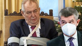 Zeman vyhlásil volby k nelibosti Babiše. Jsou za tím peníze na kampaň, ani ČSSD to není vhod