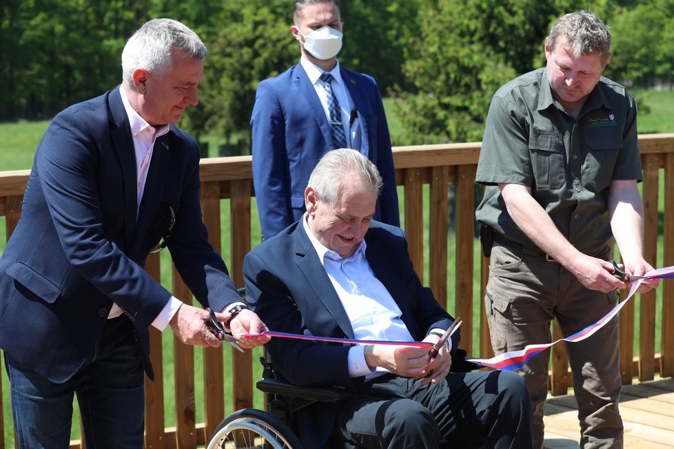 Prezident Miloš Zeman (na vozíku) otevřel novou lávku v Lánské oboře. Doprovodil ho hradní kancléř Vratislav Mynář a šéf tamní lesní správy Miloš Balák (3. 6. 2021).