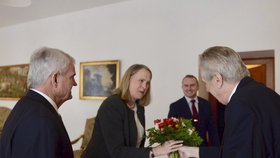 Prezident přivítal na Pražském hradě ve středu velvyslance USA Stephena B. Kinga. (13. 2. 2019)