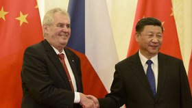 Zeman si s čínským prezidentem poklábosil.
