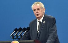 Prezidenta Čína vyčerpává a potřebuje vozík Zeman: Dřu jako kůň!