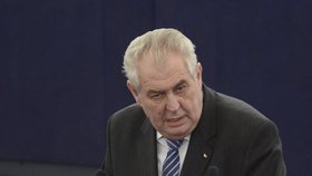 Zeman nakonec řekl, že Česká republika Euro přijme.