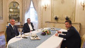 Prezident Zeman se Lánech sešel s ministrem vnitra Janem Hamáčkem (ČSSD)