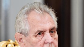 Prezident Miloš Zeman