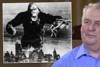 Zeman se pohádal o hradní kandidatuře. Řekne lidem, že je King Kong?