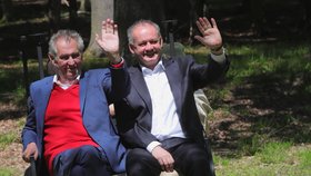 Prezident Miloš Zeman a jeho slovenský protějšek Andrej Kiska si prohlédli oboru u zámku v Lánech, kam končící slovenský prezident přijel na svou poslední oficiální návštěvu Česka (30. 5. 2019)