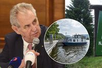 Zeman chce zatočit s kůrovcem. Vadí mu i odklad stavby jezů na Labi