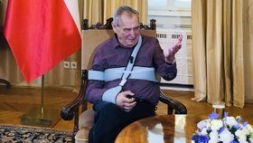 Prezident Miloš Zeman se týden po propuštění z nemocnice ukázal veřejnosti. TV Prima s ním na zámku v Lánech předtáčela rozhovor. Hlava státu má stále oteklou ruku, kterou nosí v ortéze.