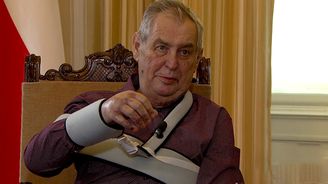 Zeman: Vystrčilova cesta na Tchaj-wan byla „klukovskou provokací“