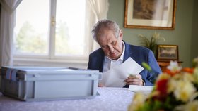Prezident Miloš Zeman odvolil ve sněmovních volbách do přenosné urny na zámku v Lánech (8. 10. 2021)