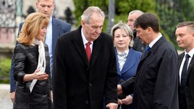 Prezident Miloš Zeman navštívil 15. května 2019 v Budapešti maďarského prezidenta Jánose Ádera.