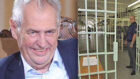 Miloš Zeman zatím udělil 10 milostí.