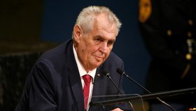 Prezident Miloš Zeman