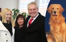 Odbornice varuje rodinu Miloše Zemana: Váš pes bude tlustý a vzteklý!