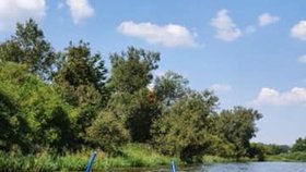 Prezident Miloš Zeman se vrátil na Veselský rybník ve člunu (8. 8. 2020)