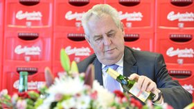 Miloš Zeman v pivovaru Budvar