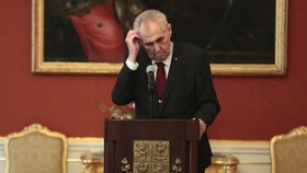 Prezident Miloš Zeman