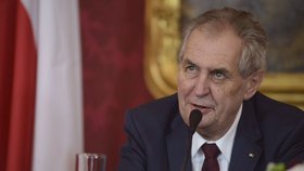 Zeman chyboval se školou. Nepřesná informace a špatná interpretace, hájí ho hradní muž