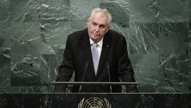 Zeman v New Yorku kritizoval OSN za nedostatečné nasazení proti terorismu.