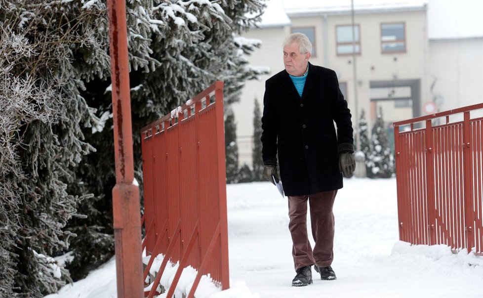 Miloš Zeman na cestě z pošty (15.1.2013)