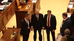 Ve Sněmovně musel prezident Miloš Zeman zdolat také jeden schod, který vede od řečnického pultíku. (23. 10. 2019)