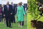 Miloš Zeman v Rumunsku sázel po sobě pojmenovaný strom, podle princezny Markéty mu to šlo velice dobře. Asi zkušenosti z Vysočiny.