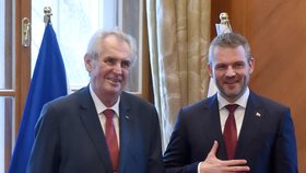 Prezident Miloš Zeman se 5. dubna 2018, při své třídenní návštěvě Slovenska, sešel ve Vysokých Tatrách-Štrbském Plese s novým slovenským premiérem Petrem Pellegrinim.