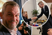 Zeman je stále na JIP, přesto… Chce jet na Slovensko za Pellegrinim