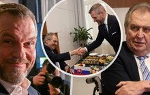 Už skoro dva týdny se dává do pořádku po vážné operaci exprezident Miloš Zeman (79). Ještě včera ležel na JIP interní kliniky a lékaři nechtějí odhadovat, jak dlouho bude hospitalizace trvat. Bývalý hradní pán si ale maluje, že pojede příští týden na Slovensko.