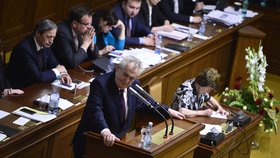 Prezident Miloš Zeman promluvil před poslanci naposledy loni v červnu. Do sněmovny zamířil kvůli zákonu o prokazování původu majetku.