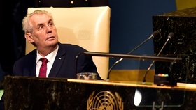 50 tisíc podpisů nasbíral i současný prezident Miloš Zeman.