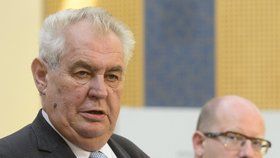 Prezident Miloš Zeman by mohl svědčit u soudu v kauze Lidového domu.