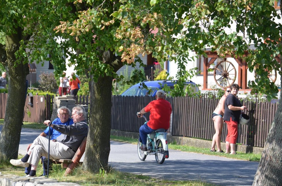 Za Zemanem natírala plot slečna, která však byla spíše nesvá z návštěvy našeho prezidenta.