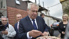Prezident Miloš Zeman poslední den návštěvy ve Zlínském kraji zavítal i do řeznictví.