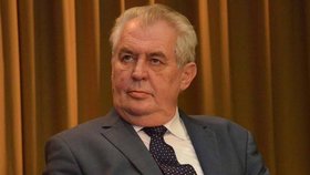 Prezident Zeman v jednom kole: Ve čtvrtek se sejde s Chládkem, v pátek se Sobotkou