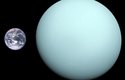 Srovnání velikosti Země a Uranu