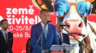 Kázání o zrušení dotací a praxe Agrofertu: Babiš ukázal dvojí tvář v plné nahotě Kázání o zrušení dotací a praxe Agrofertu: Babiš ukázal dvojí tvář v plné nahotě