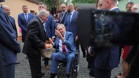 Země živitelka: Prezident Miloš Zeman.