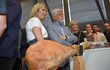 Prezident Petr Pavel navštívil s manželkou Evou veletrh Země živitelka v Českých Budějovicích, 24. 8. 2026 Prezident Petr Pavel navštívil s manželkou Evou veletrh Země živitelka v Českých Budějovicích, 24. 8. 2026