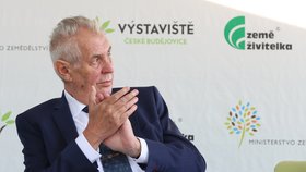 Prezident Miloš Zeman