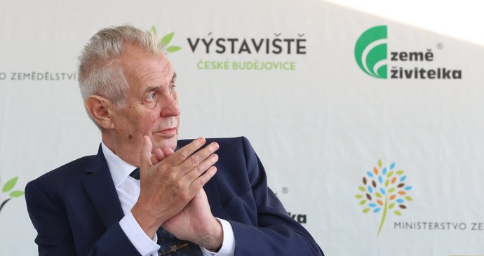 Prezident Miloš Zeman bude pokračovat v tradici a na svoji poslední zahraniční cestu vyrazí na Slovensko.