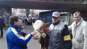 V Praze protestují zemědělci