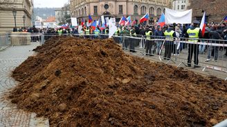 Demonstrace veřejné ostudy aneb Co mají společného Babišův kohout Silver a hnůj před Strakovkou?