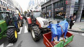Takhle protestovali zemědělci v Bruselu kvůli situaci na trhu s mlékem loni v září. Po policistech navíc házeli vajíčka a zapalovali slámu.