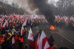 Protesty zemědělců v Polsku (6.3.2024)