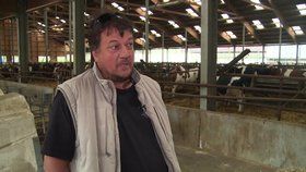 „Ničí nás nízké výkupní ceny,“ říká zemědělec Petr Šrámek.