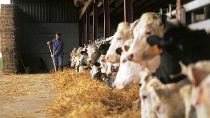 Evropská komise v případě neřízeného brexitu podpoří zemědělce z rezervních fondů.