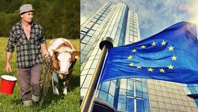 Menší zemědělci a farmáři budou mají u EU zastání.